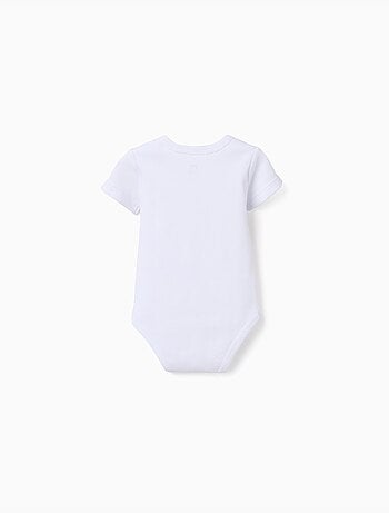 4 bodies de algodón con tortugas estampadas