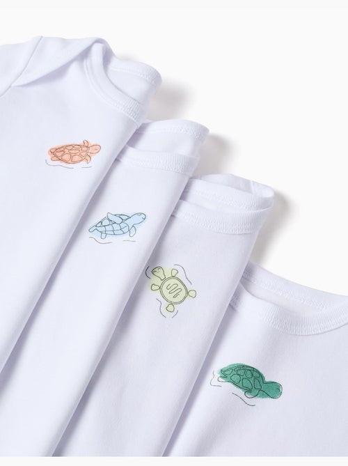 4 bodies de algodón con tortugas estampadas - Kiabi