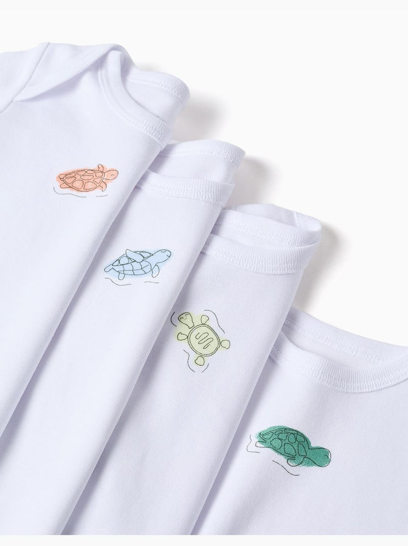 4 bodies de algodón con tortugas estampadas Blanco - Kiabi