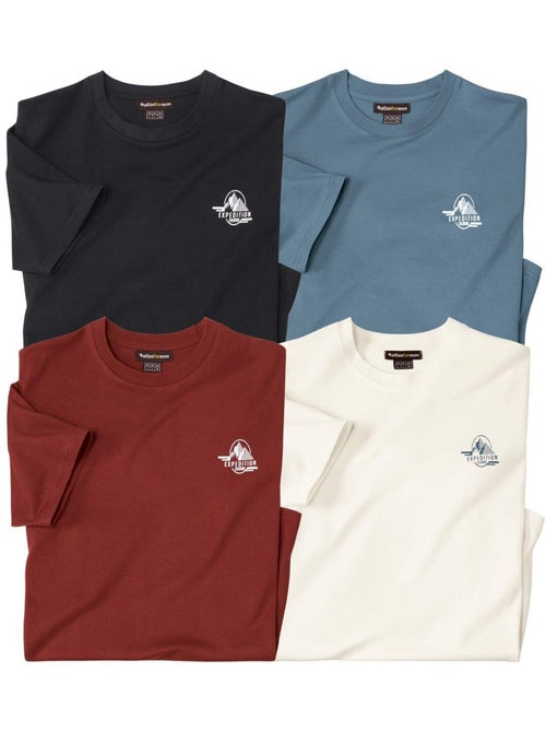 4x camisetas de algodón expedition, cuello redondo con borde de canalé - Kiabi 4x camisetas de algodón expedition, cuello redondo con borde de canalé - Kiabi