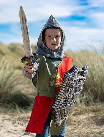 Accesorios de caballero para niños – espada y escudo - Labay