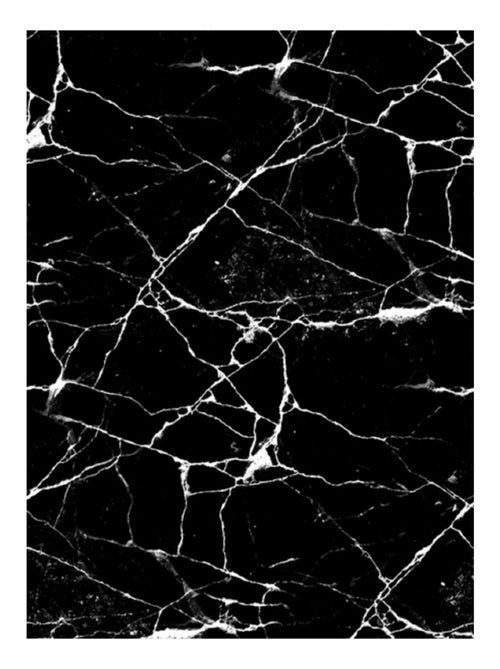 Alfombra de salón MÁRMOL - Kiabi