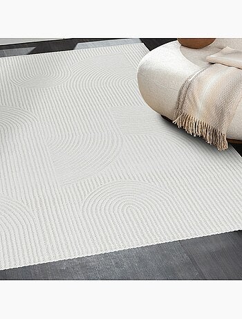 Alfombra de salón MODA 1100