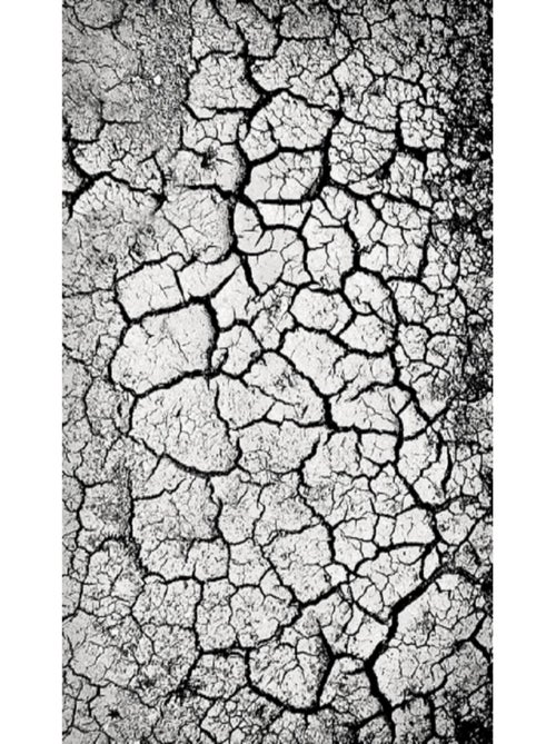 Alfombra de salón PEBBLE - Kiabi