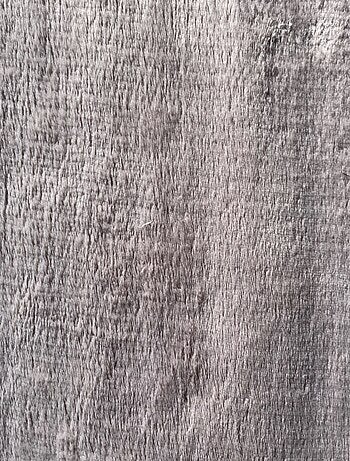 Alfombra PROMO LINGE