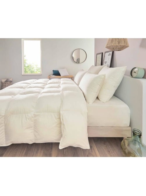 Almohada cuadrada percal tratado ultrafresh - Kiabi