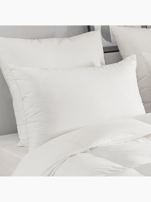 Almohada de plumas y plumón - Kiabi