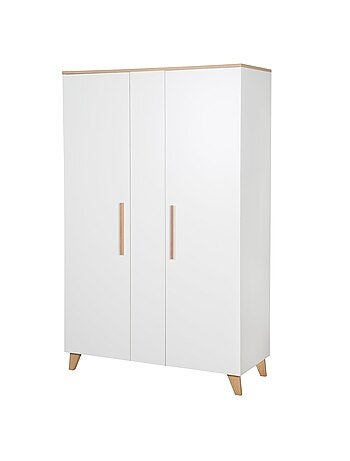 Armario infantil minimalista 2,5 puertas con almacenamiento y barra Leon Roba