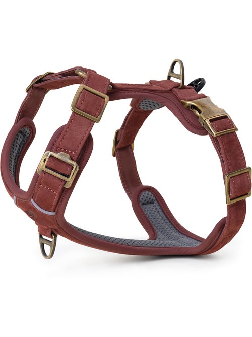 Arnés de cuero para perro PELUVIO Lord - Ajustable - Kiabi Arnés de cuero para perro PELUVIO Lord - Ajustable - Kiabi