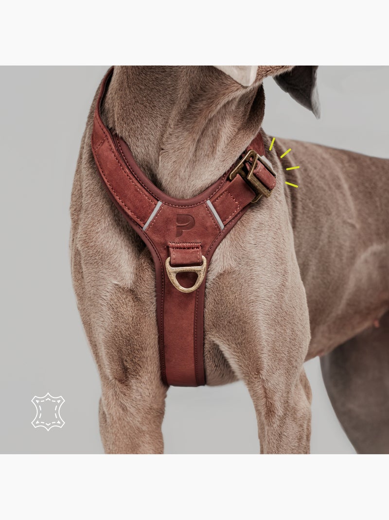 Arnés de cuero para perro PELUVIO Lord - Ajustable Burdeos - Kiabi