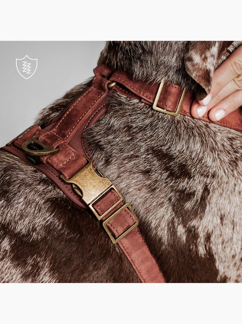 Arnés de cuero para perro PELUVIO Lord - Ajustable Burdeos - Kiabi