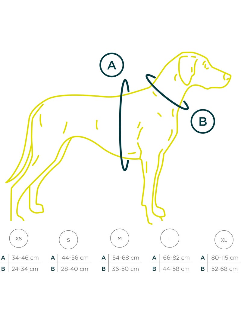 Arnés de cuero para perro PELUVIO Lord - Ajustable Burdeos - Kiabi