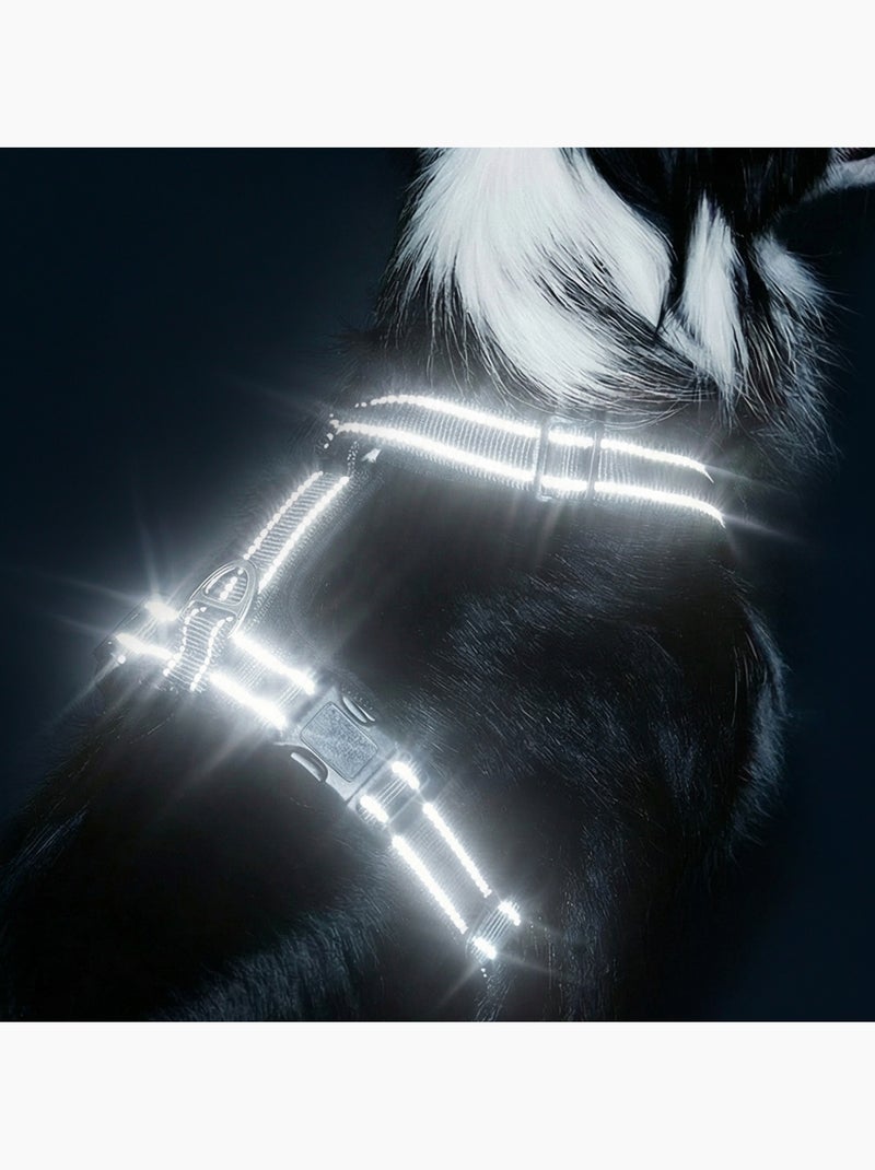 Arnés para perro PELUVIO Mate - Reflectante - Ajustable Negro - Kiabi