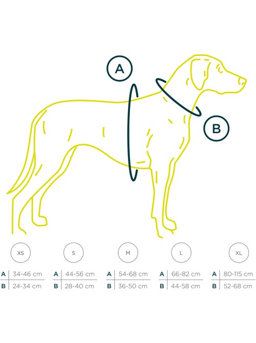 Arnés para perro PELUVIO Mate - Reflectante - Ajustable - Kiabi Arnés para perro PELUVIO Mate - Reflectante - Ajustable - Kiabi