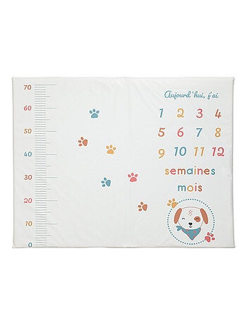 BABYCALIN - Alfombra de juegos para bebé Fiesta de cumpleaños para perros - 72,5 x 92 x 2,5 cm