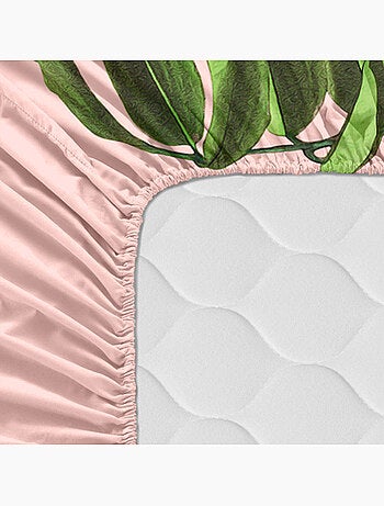 Bajera Blooming "Happyfriday