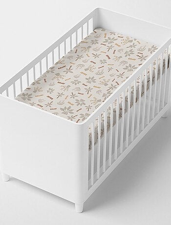 Bajera Dino family "Happyfriday