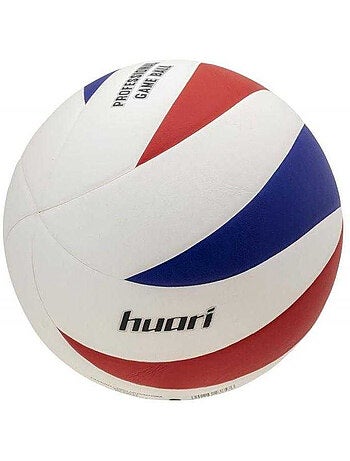 Balón voleibol seagulls diseño logotipo - huari
