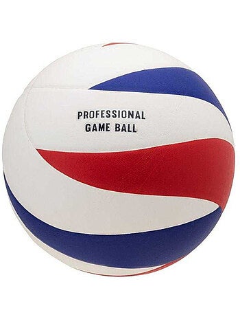 Balón voleibol seagulls diseño logotipo - huari