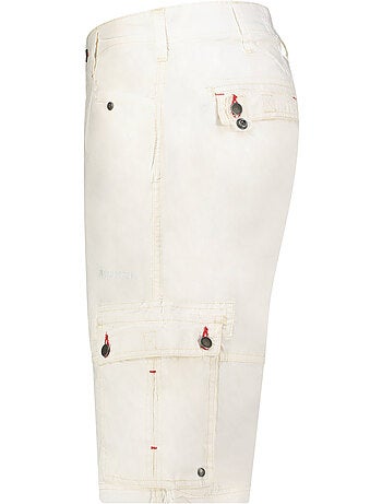 Bermudas palmdeak – canadian peak
