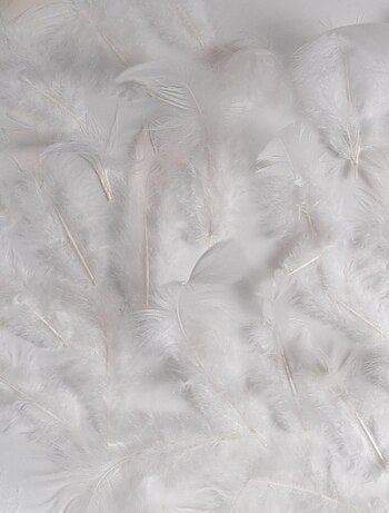 Boa o guirnalda de plumas