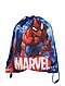    Bolsa para la piscina 'Spider-Man' vista 1
