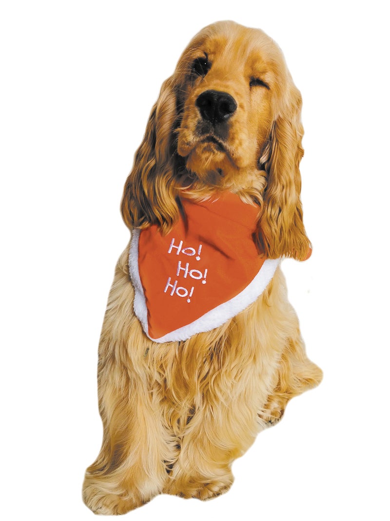 Bufanda de Navidad para perro rojo - Kiabi