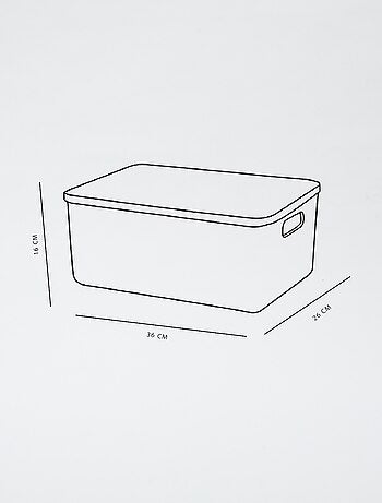Caja de almacenaje con tapa
