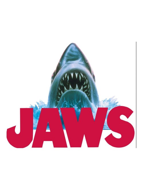 Calcetines Pack Niño JAWS - Pack de 6 - Kiabi