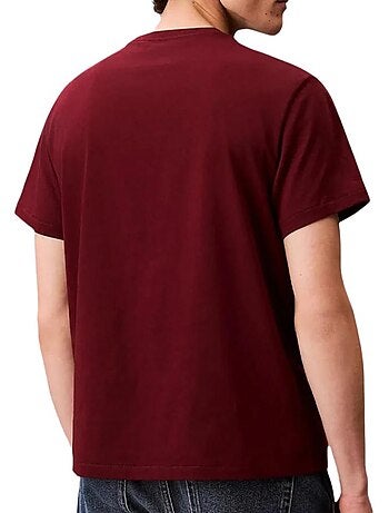 Camiseta de hombre Calvin Klein Jeans