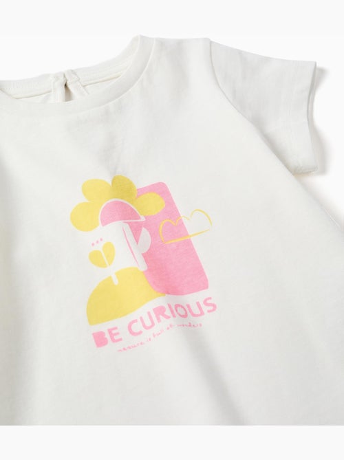 Camiseta de algodón con estampado Be Curious - Kiabi