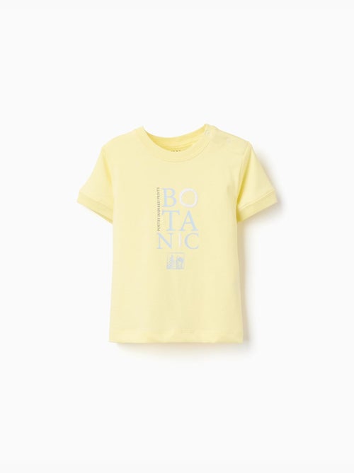 Camiseta de algodón con estampado Botanic - Kiabi