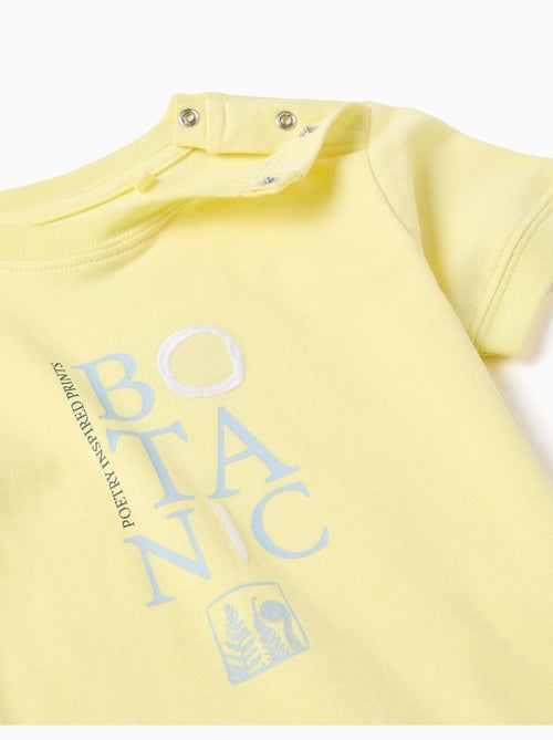 Camiseta de algodón con estampado Botanic - Kiabi