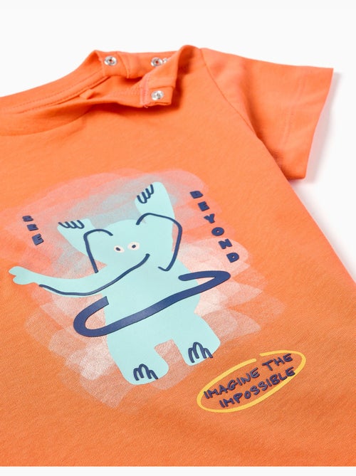 Camiseta de algodón con estampado de elefante - Kiabi
