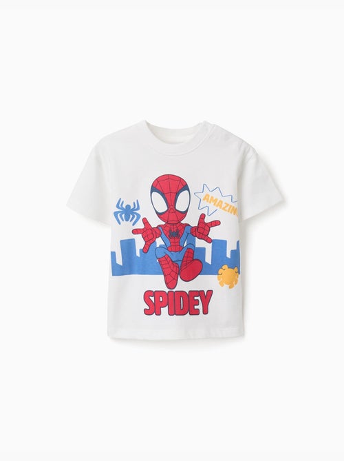 Camiseta de algodón con estampado de Spidey - Kiabi Camiseta de algodón con estampado de Spidey - Kiabi