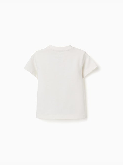 Camiseta de algodón con estampado Everything - Kiabi