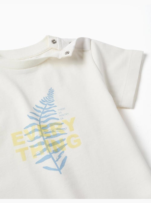 Camiseta de algodón con estampado Everything - Kiabi