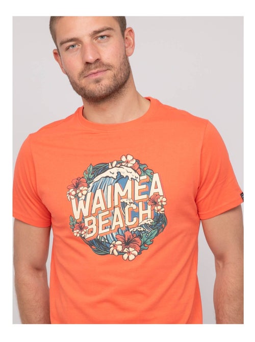 Camiseta de algodón con motivos NEWILMO - Kiabi