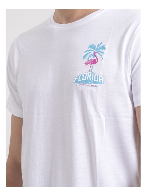 Camiseta de cuello redondo de puro algodón NARUBA - Kiabi