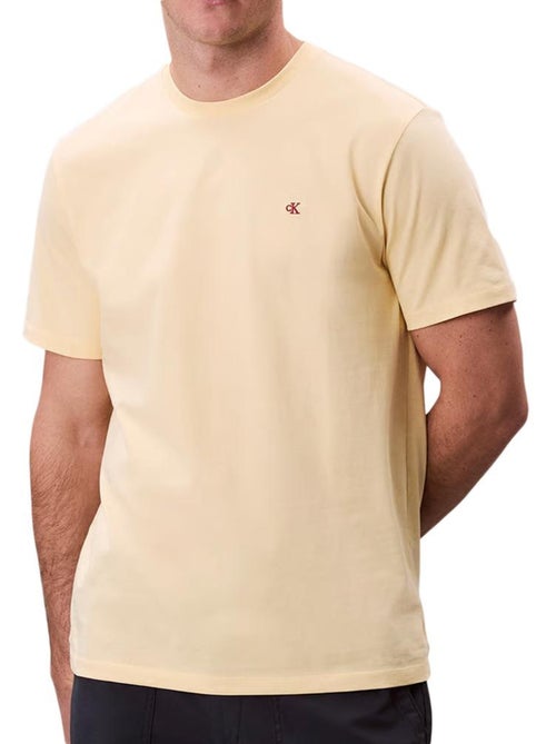 Camiseta de Hombre Calvin Klein - Kiabi