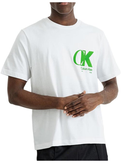 Camiseta de Hombre Calvin Klein Jeans - Kiabi