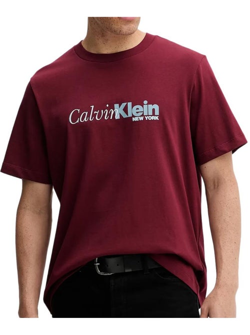 Camiseta de Hombre Calvin Klein Jeans - Kiabi