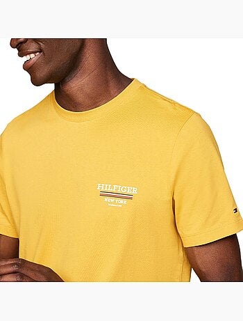 Camiseta de Hombre Tommy Hilfiger