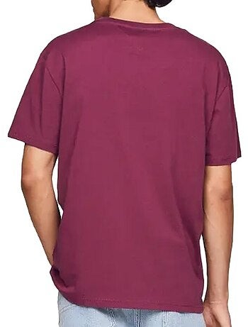 Camiseta de Hombre Tommy Hilfiger