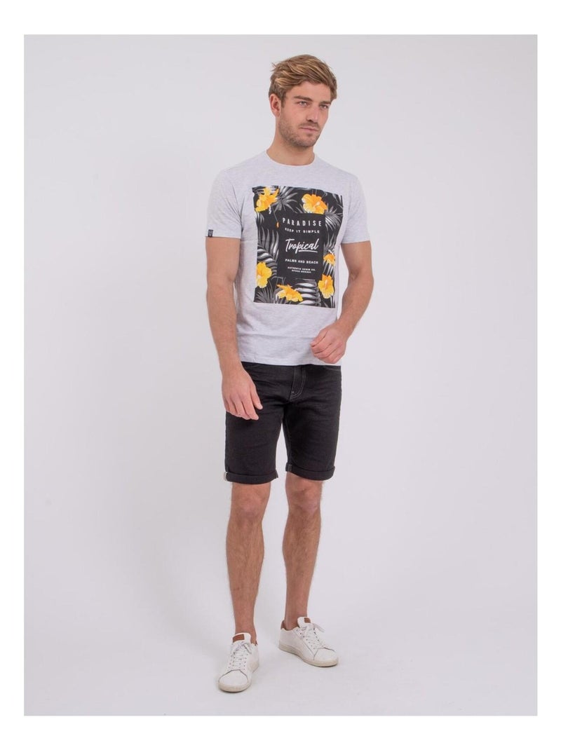 Camiseta de manga corta cuello redondo de puro algodón NOCTAVIO Gris - Kiabi