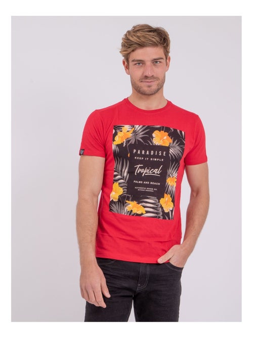 Camiseta de manga corta cuello redondo de puro algodón NOCTAVIO - Kiabi