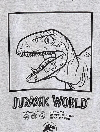 Camiseta de manga corta 'Jurassic World'