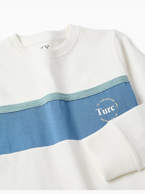 Camiseta de manga larga de algodón con estampado - Kiabi