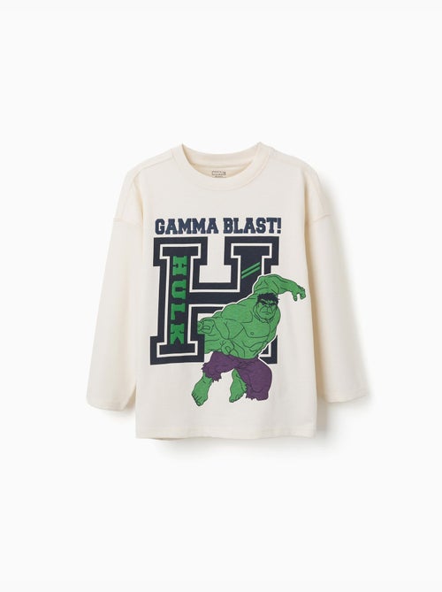Camiseta de manga larga de algodón con estampado en relieve de Hulk - Kiabi