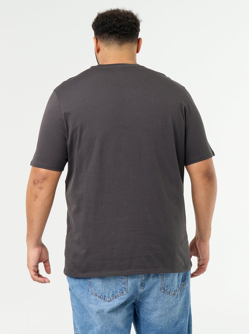 Camiseta de punto estampada de manga corta Gris - Kiabi